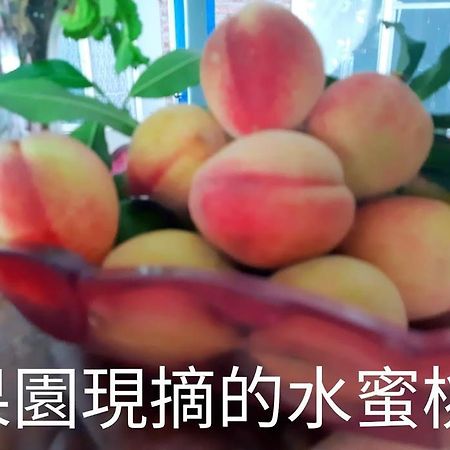 Taitung Linyuan B&B ตงเหอ ภายนอก รูปภาพ