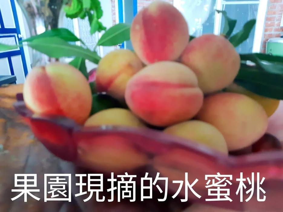 Taitung Linyuan B&B ตงเหอ ภายนอก รูปภาพ