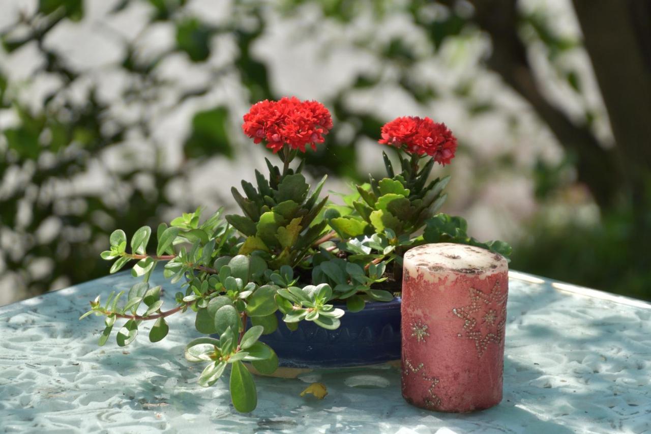 Taitung Linyuan B&B ตงเหอ ภายนอก รูปภาพ